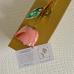 24k gold dipped rose